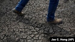 Cela fait trois ans que la sècheresse sévit en Californie (AP)