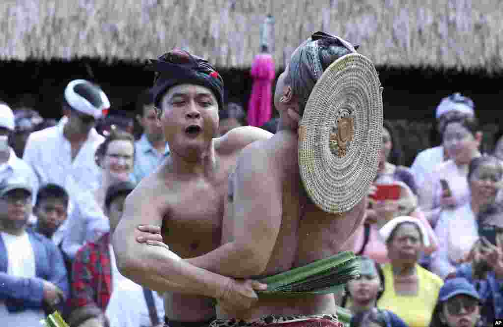 បុរសជនជាតិបាលីកំពុងវាយគ្នាដោយប្រើស្លឹកឈើបន្លាក្នុងបុណ្យប្រចាំភូមិក្នុងទីក្រុងបាលីប្រទេសឥណ្ឌូនេស៊ី។