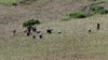 UN: Drought Affected North Korea Cuts Food Rations