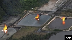 Sur un site de la compagnie pétrolière Shell, sur la river du Niger, le 22 mars 2013.