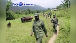 VOA60 Afrique du 24 janvier 2018