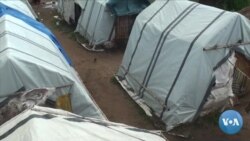 Estudo com mulheres raptadas revela características dos insurgentes