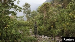Le parc national Virunga
