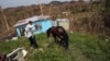 'Nothing, Nothing' Aid Lags in Hurricane-torn Puerto Rico