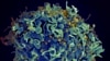 16x9 Image