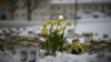 Police say bullying motivated Finnish school shooting