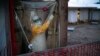 Un agent de santé entre dans une nacelle d'isolement pour traiter un patient Ebola dans un centre de traitement à Beni, en République démocratique du Congo, le 13 juillet 2019.