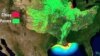 Gulf of Mexico Dead Zone