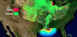 The NOAA map shows in general how runoff from farms in green and cities in red drains into the Mississippi River.