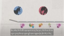 ཨ་རིའི་འོས་བསྡུའི་ལས་འགུལ་གྱི་དུས་ཡུན་ནི་འཛམ་གླིང་སྟེང་གི་རིང་ཤོས་དེ་ཆགས།