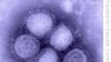 Health Officials Warn of Sicker Swine Flu Patients