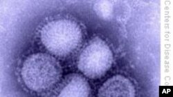 Environmentalist: New Thinking Needed on New Diseases
