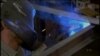 US Economy Adds 248K Jobs, Unemployment Rate Falls to 5.9%