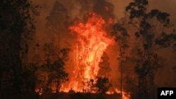 Api kebakaran lahan di Bobin, 350km utara Sydney, 9 November 2019. 
