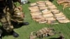 Addressing Poaching as Terrorism