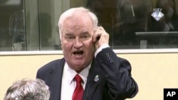 Arhiva - Ratko Mladić tokom suđenja (Foto: AP)
