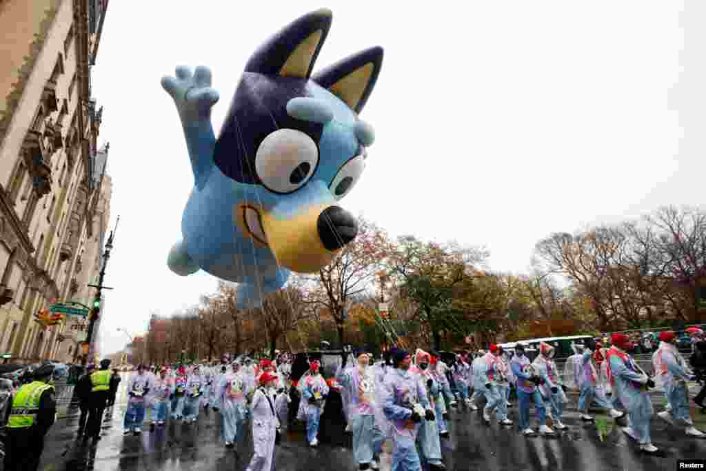 The Bluey balloon flies during the 98th Macy's Thanksgiving Day Parade in New York City, Nov. 28, 2024.