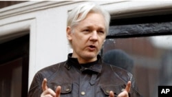 Julian Assange, à l'ambassade équatore, le 19 mai 2017.