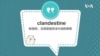 学个词 - clandestine