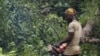 Minute Eco: Exploitation illicite des ressources naturelles de la RDC