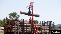 Un trabajador descarga troncos de madera en Murray Lumber Co. en Madawaska, Canadá en julio de 2018. 