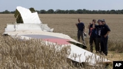 Une partie de l'avion de Malaysie Ailines, vol 17, qui s'est écrasé près du viallge de Hrabove, Donetsk region, dans l'Est de l'Ukraine. 