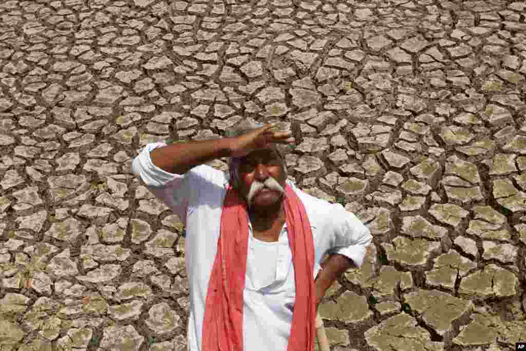 An Indian farmer looks at the sky on the outskirts of Ahmadabad.