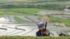 A farmer works on a terraced paddy field for the new rice season in Vietnam's northern Mu Cang Chai district, 360 km (225 miles) northwest of Hanoi, June 6, 2016. 