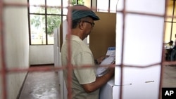 An East Timorese voter checks his ballot at a polling station during the presidential election in Dili, March 17, 2012.