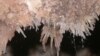 Caves and the Strange Things That Live Within