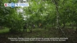 VOA60 Africa - Nigeria: President Tinubu says he is aware of the Nigerian people's economic struggles