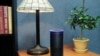 Pandemic Gives Fresh Momentum to Digital Voice Technology