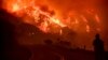 Petugas Damkar California Tewas Saat Memadamkan Kebakaran Hutan