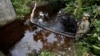 Colombia: 655 ataques a oleoductos
