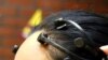 Researchers Say New Pill Improves Memory