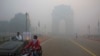 With Masks and Flair, Indian Dance Aims to Spur Audiences to Climate Action