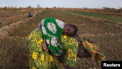 Une cultivatrice malienne à Heremakono, au Mali (Reuters)