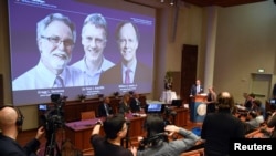Thomas Perlmann, Secretary-General of the Nobel Committee, presents the Nobel laureates, William G. Kaelin Jr, Sir Peter J. Ratcliffe and Gregg L. Semenza, of this year's Nobel Prize in Medicine during a news conference in Stockholm, Sweden, October…