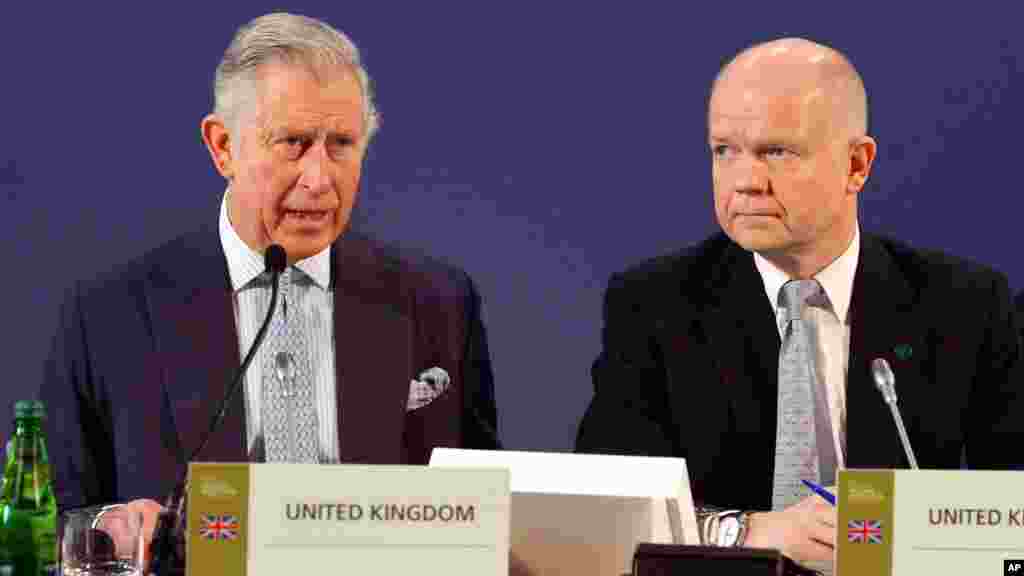 More than 50 nations gathered in February with Prince Charles and British Foreign Secretary William Hague to sign a pledge to prevent poaching. The hosts of the Illegal Wildlife Trade Conference in London said tens of thousands of elephants and more than 1,000 rhinos were killed last year. 