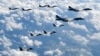 지난 2017년 북한의 화성-12 탄도미사일 발사에 대응해 출격한 미군 B-1B 전략폭격기와 F-35B 스텔스 전투기가 한국 공군 F-15K 전투기와 함께 한반도 상공을 비행하고 있다.