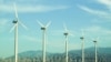 Wind Turbines Take Steep Toll on Birds, Bats 