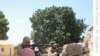 New Humanitarian Approach Needed for Long-Lasting Conflicts