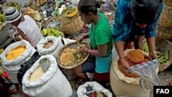 La faim menace les pays affectés par l'épidémie à virus Ebola, avertit la FAO (Photo: FAO/Walter Astrada)