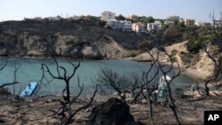 雅典以东的拉菲娜海滩，当地2018年8月1日的大火导致100人丧生。