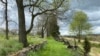 Cornfield Trail: A trail overlooking a 40-acre cornfield which saw some of the most ferocious fighting of the 1862 Battle of Antietam. (Jamie Dettmer/VOA)