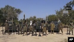 Wasu mayakan Boko Haram