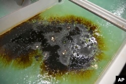 FILE - This Nov. 17, 2016 photo, released by the Pacific Northwest National Laboratory, PNNL, oil spreads on top of water with a slushy crust.