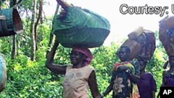 Des déplacés internes en RDC (AP)