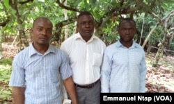 Malgré leur participation à l'école paysanne et le cacao de qualité qu'ils produisent, ces cacaoculteurs ne se réjouissent pas du fruit de leur labeur au Cameroun, le 25 mai 2017. (VOA/Emmanuel Ntap)