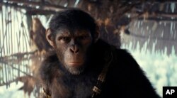 Gambar dari film the Kingdom of the Planet of the Apes yang menampilkan tokoh Noa, diperankan oleh Owen Teague (dok: 20th Century Studios/AP)